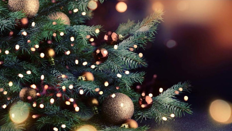 Weir Family Christmas Tree Farm Season Opens