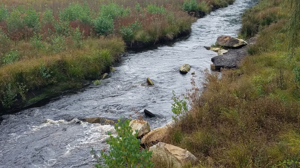Jones River Basin in Kingston